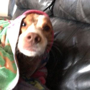 Meet your Posher, alannah